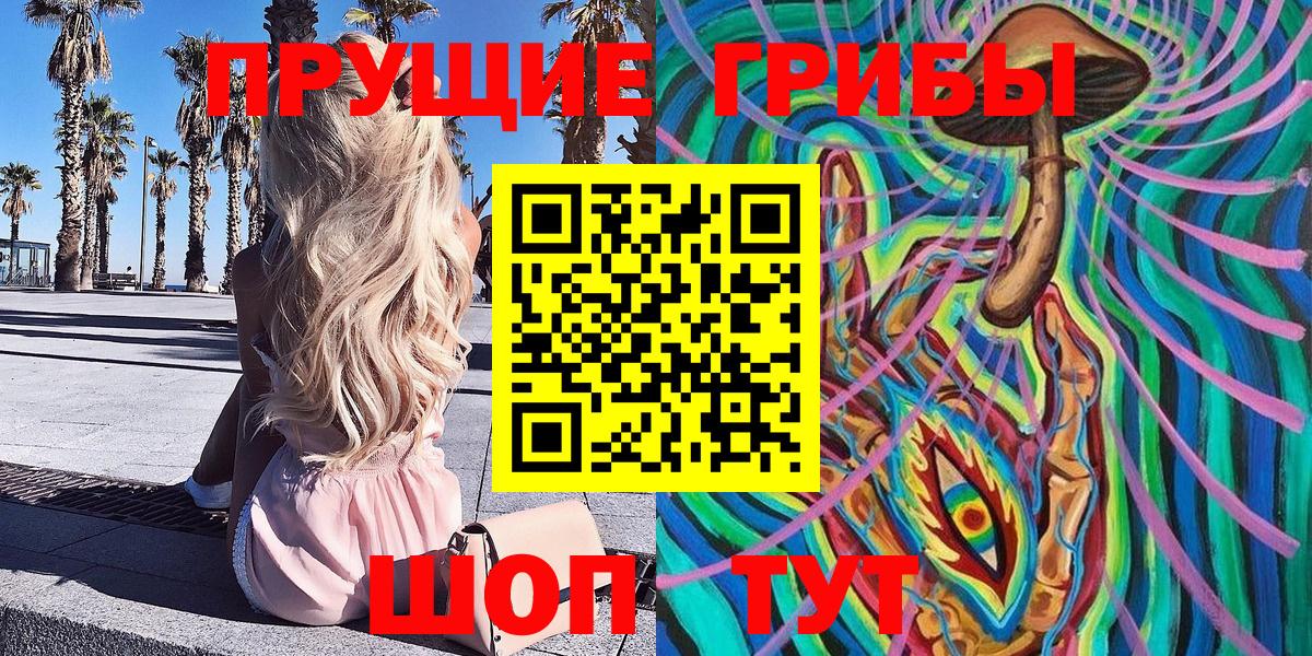 Галлюциногенные грибы Psilocybe Черняховск