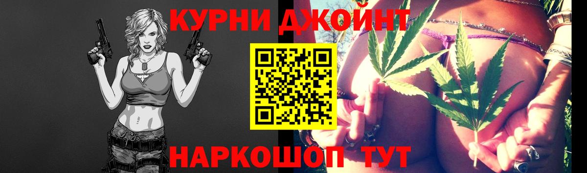 Каннабис сатива Черняховск
